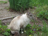 Enlarge photo 27