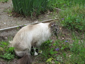 Enlarge photo 28