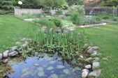 Enlarge photo 15