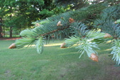 Enlarge photo 18