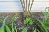 Enlarge photo 26