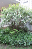 Enlarge photo 27