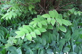 Enlarge photo 28