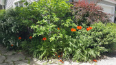 Enlarge photo 18