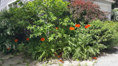 Enlarge photo 20