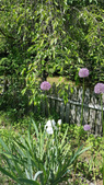 Enlarge photo 2