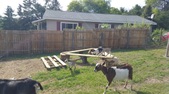 Enlarge photo 24