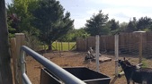 Enlarge photo 26
