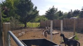 Enlarge photo 27