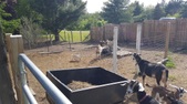 Enlarge photo 28