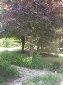 Enlarge photo 2