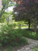 Enlarge photo 6