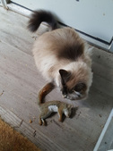 Enlarge photo 23