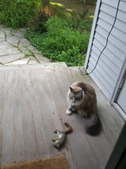 Enlarge photo 27