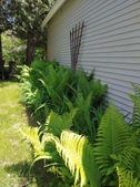 Enlarge photo 15
