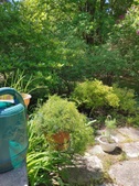 Enlarge photo 22