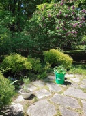 Enlarge photo 23