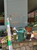 Enlarge photo 24