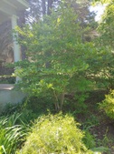 Enlarge photo 29