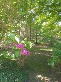 Enlarge photo 30