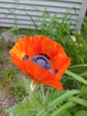 Enlarge photo 13