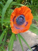 Enlarge photo 14