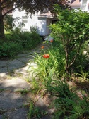 Enlarge photo 16