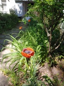 Enlarge photo 17