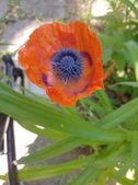 Enlarge photo 18