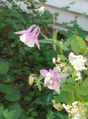 Enlarge photo 26