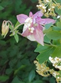 Enlarge photo 27
