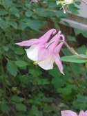 Enlarge photo 28