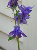 Enlarge photo 29