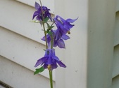 Enlarge photo 30