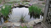 Enlarge photo 3