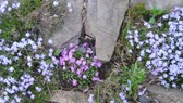 Enlarge photo 1