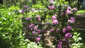 Enlarge photo 7