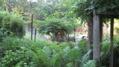 Enlarge photo 16