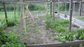 Enlarge photo 18