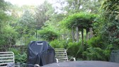 Enlarge photo 19