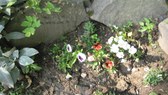 Enlarge photo 22