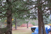 Enlarge photo 25