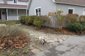 Enlarge photo 29