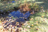 Enlarge photo 26