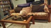 Enlarge photo 9