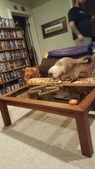 Enlarge photo 8