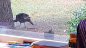 Enlarge photo 19