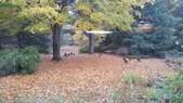 Enlarge photo 25