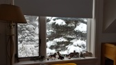 Enlarge photo 25