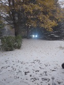 Enlarge photo 28